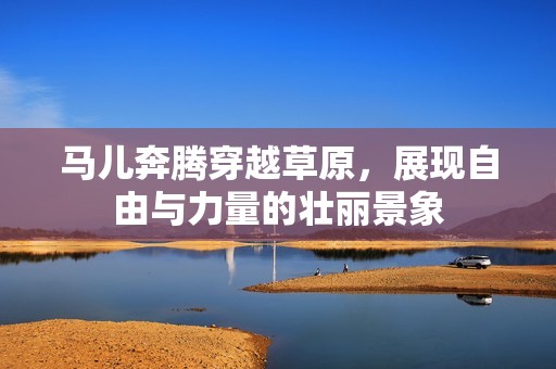 马儿奔腾穿越草原，展现自由与力量的壮丽景象