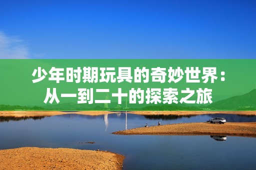 少年时期玩具的奇妙世界：从一到二十的探索之旅