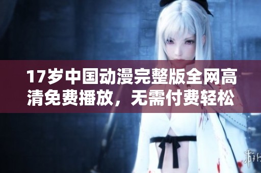 17岁中国动漫完整版全网高清免费播放，无需付费轻松观看