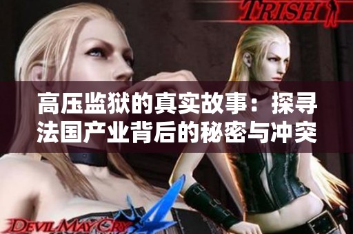 高压监狱的真实故事：探寻法国产业背后的秘密与冲突