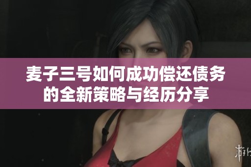 麦子三号如何成功偿还债务的全新策略与经历分享
