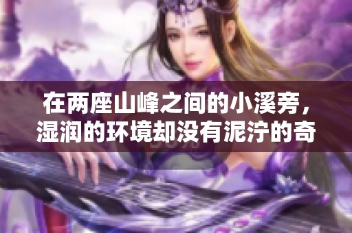 在两座山峰之间的小溪旁，湿润的环境却没有泥泞的奇妙体验