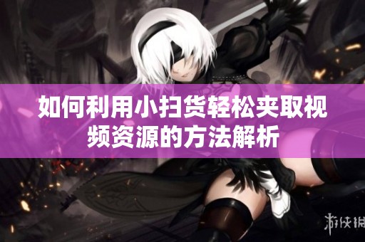 如何利用小扫货轻松夹取视频资源的方法解析