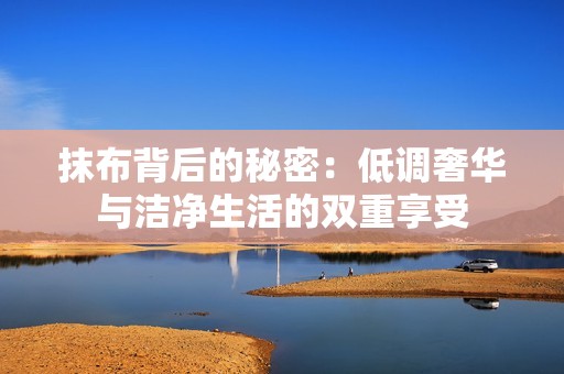 抹布背后的秘密：低调奢华与洁净生活的双重享受