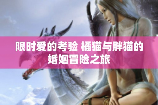 限时爱的考验 橘猫与胖猫的婚姻冒险之旅