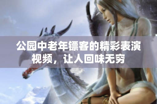 公园中老年镖客的精彩表演视频，让人回味无穷