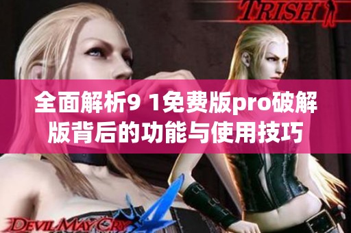 全面解析9 1免费版pro破解版背后的功能与使用技巧