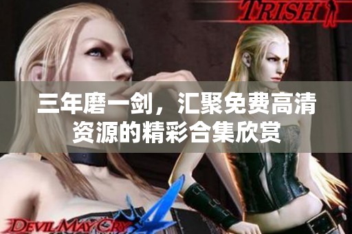 三年磨一剑，汇聚免费高清资源的精彩合集欣赏