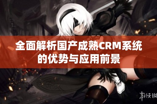 全面解析国产成熟CRM系统的优势与应用前景