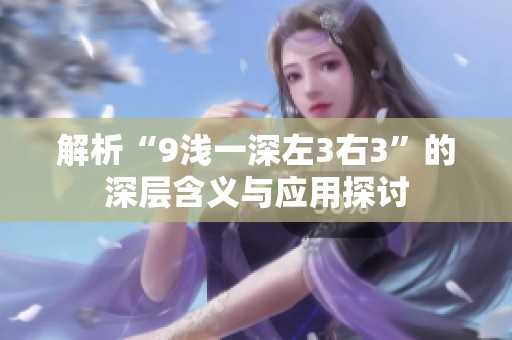 解析“9浅一深左3右3”的深层含义与应用探讨