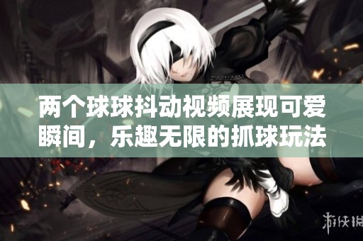 两个球球抖动视频展现可爱瞬间，乐趣无限的抓球玩法