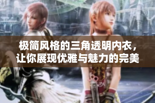 极简风格的三角透明内衣，让你展现优雅与魅力的完美结合