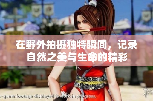 在野外拍摄独特瞬间，记录自然之美与生命的精彩