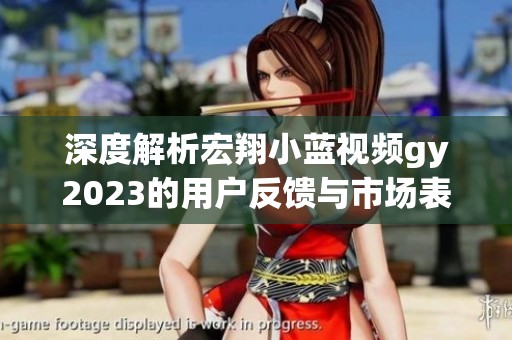 深度解析宏翔小蓝视频gy2023的用户反馈与市场表现