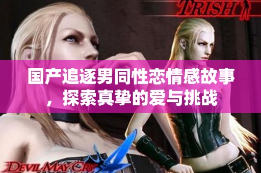 国产追逐男同性恋情感故事，探索真挚的爱与挑战