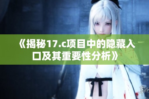 《揭秘17.c项目中的隐藏入口及其重要性分析》