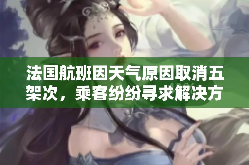 法国航班因天气原因取消五架次，乘客纷纷寻求解决方案