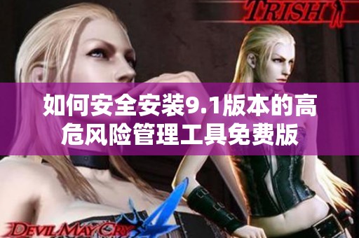 如何安全安装9.1版本的高危风险管理工具免费版