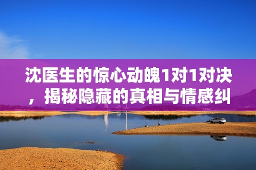 沈医生的惊心动魄1对1对决，揭秘隐藏的真相与情感纠葛