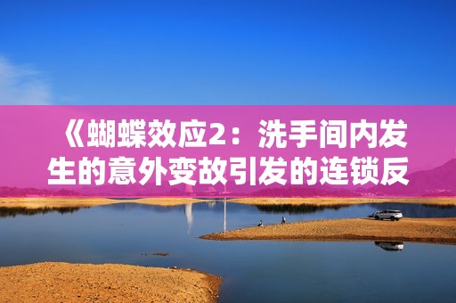 《蝴蝶效应2：洗手间内发生的意外变故引发的连锁反应》