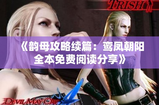 《韵母攻略续篇：鸾凤朝阳全本免费阅读分享》