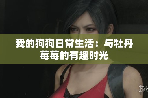 我的狗狗日常生活：与牡丹莓莓的有趣时光