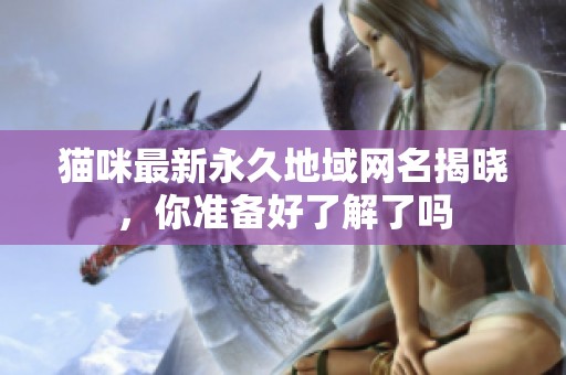 猫咪最新永久地域网名揭晓，你准备好了解了吗