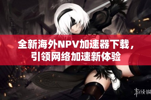 全新海外NPV加速器下载，引领网络加速新体验
