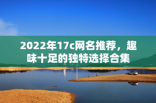 2022年17c网名推荐，趣味十足的独特选择合集