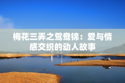 梅花三弄之鸳鸯锦：爱与情感交织的动人故事