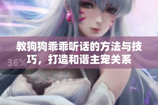 教狗狗乖乖听话的方法与技巧，打造和谐主宠关系