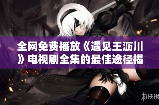 全网免费播放《遇见王沥川》电视剧全集的最佳途径揭秘