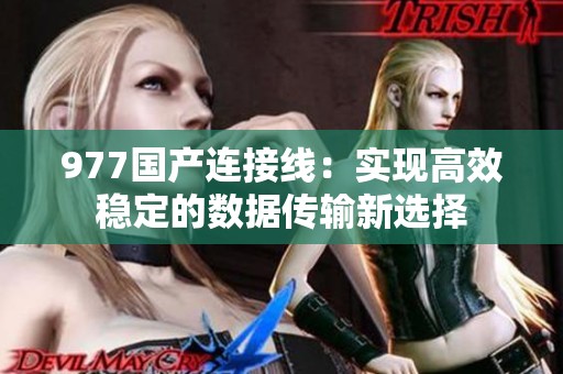 977国产连接线：实现高效稳定的数据传输新选择