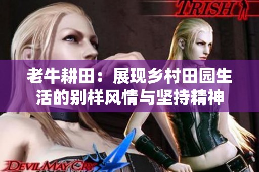 老牛耕田：展现乡村田园生活的别样风情与坚持精神