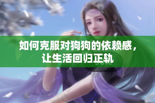 如何克服对狗狗的依赖感，让生活回归正轨
