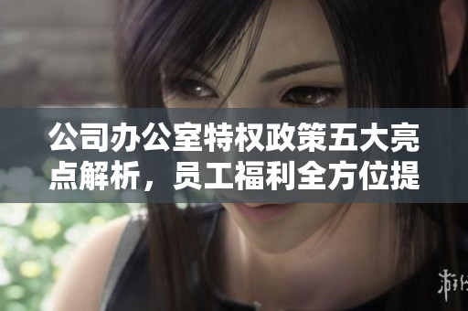 公司办公室特权政策五大亮点解析，员工福利全方位提升