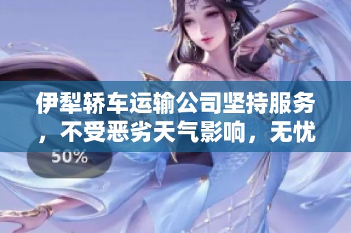 伊犁轿车运输公司坚持服务，不受恶劣天气影响，无忧物流新选择