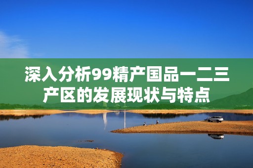 深入分析99精产国品一二三产区的发展现状与特点