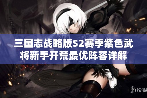 三国志战略版S2赛季紫色武将新手开荒最优阵容详解