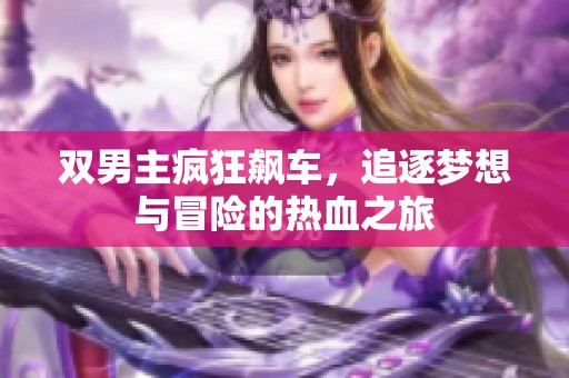 双男主疯狂飙车，追逐梦想与冒险的热血之旅