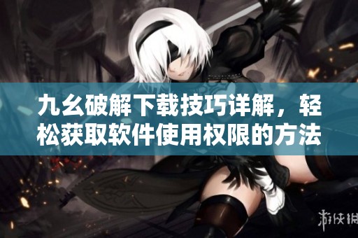 九幺破解下载技巧详解，轻松获取软件使用权限的方法
