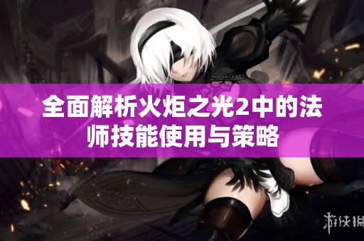 全面解析火炬之光2中的法师技能使用与策略