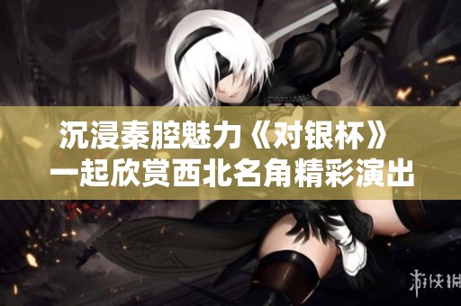沉浸秦腔魅力《对银杯》 一起欣赏西北名角精彩演出 免费在线播放