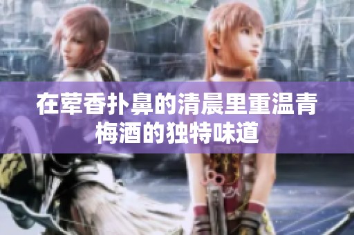 在荤香扑鼻的清晨里重温青梅酒的独特味道