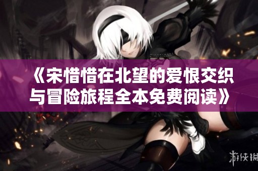 《宋惜惜在北望的爱恨交织与冒险旅程全本免费阅读》