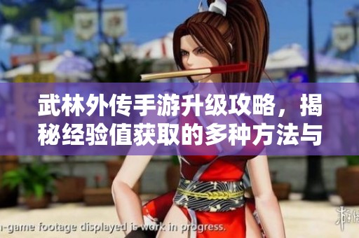 武林外传手游升级攻略，揭秘经验值获取的多种方法与技巧