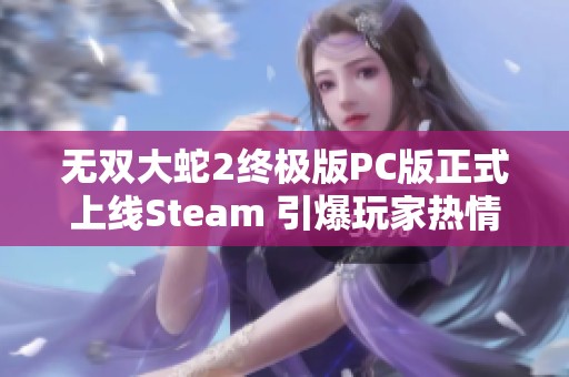 无双大蛇2终极版PC版正式上线Steam 引爆玩家热情