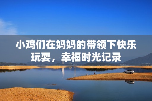 小鸡们在妈妈的带领下快乐玩耍，幸福时光记录