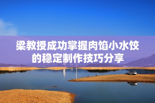 梁教授成功掌握肉馅小水饺的稳定制作技巧分享