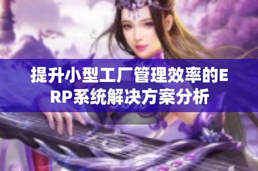 提升小型工厂管理效率的ERP系统解决方案分析